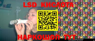 мдпв Гай