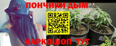 мдпв Гай