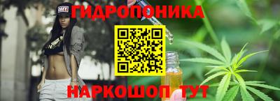 соль ск Гатчина